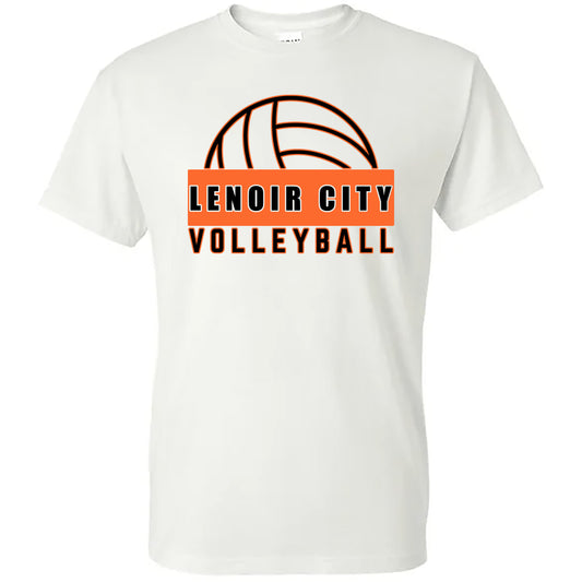 LC volleyball (white)